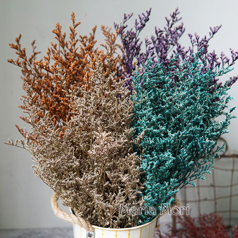 Eucalyptus Preserved - 70 กรัม/ดอกลิโมนีอุมะ (หญ้าวาเลนไทน์) สำหรับตกแต่งดอกไม้ อุปกรณ์ตกแต่งบ้าน สินค้ายอดนิยมบน