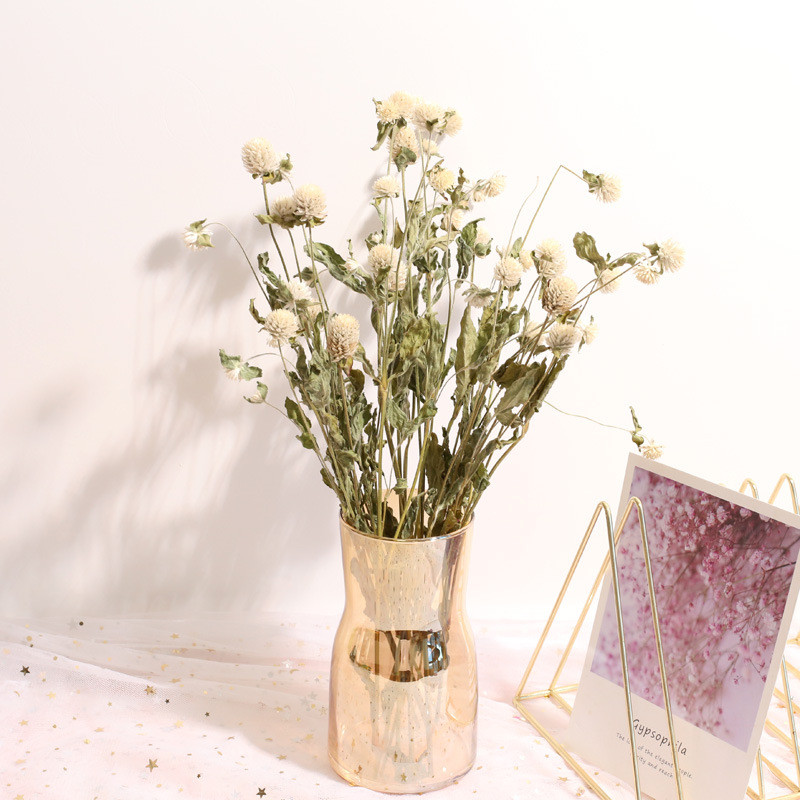 ของตกแต่งบ้านงานแต่งงานของขวัญ - Natural Florist Supply บทวิจารณ์และราคา