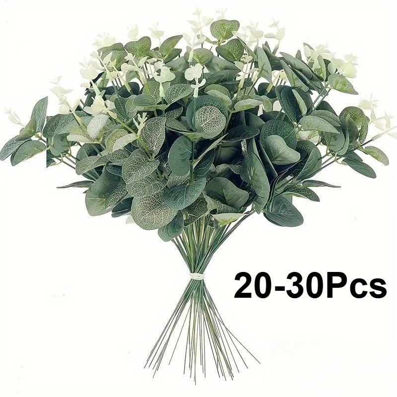 20 หรือ 30 ชิ้นก้านใบยูคาลิปตั - Eucalyptus Preserved บทวิจารณ์และราคา
