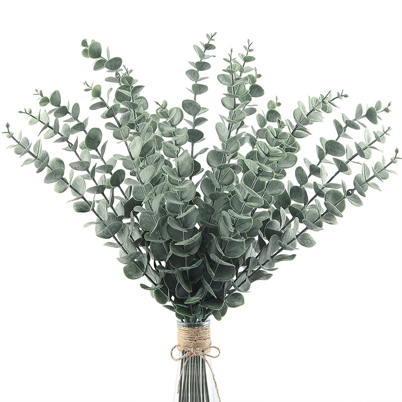 20pcs ประดิษฐ์ Eucalyptus ลําต - Eucalyptus Preserved บทวิจารณ์และราคา