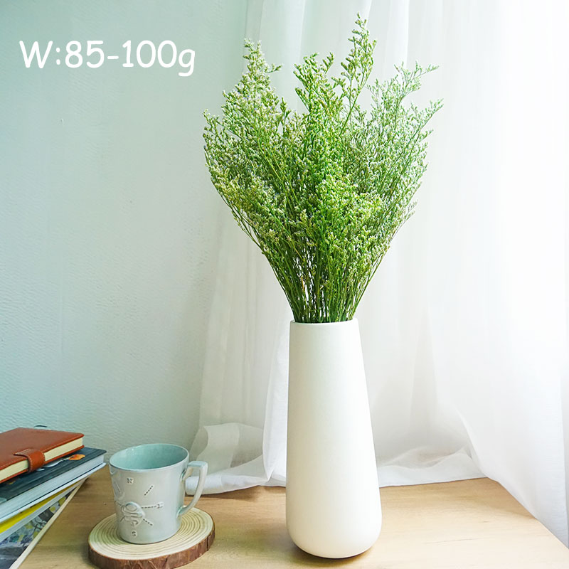 70 กรัม/ดอกลิโมนีอุมะ (หญ้าวาเ - Eucalyptus Preserved บทวิจารณ์และราคา