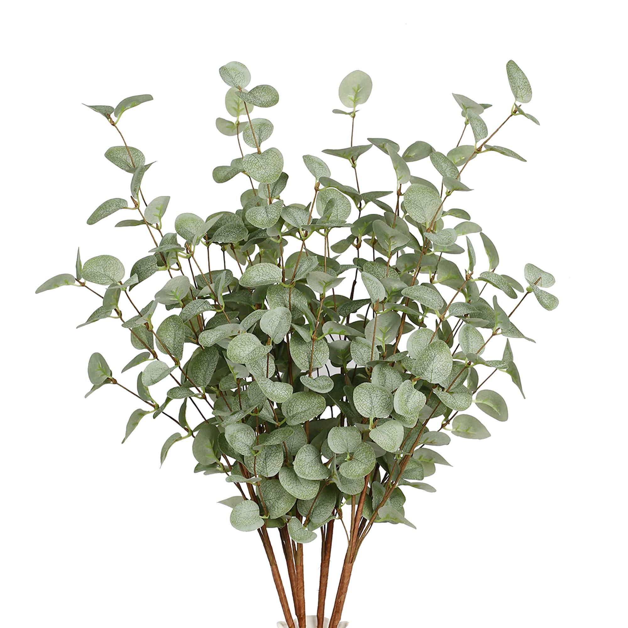 ก้านยูคาลิปตัสเทียม ต้นไม้ประด - Eucalyptus Preserved บทวิจารณ์และราคา