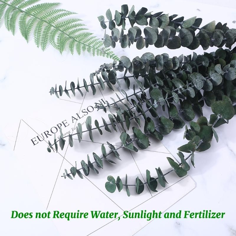 20 ชิ้นที่เก็บรักษาไว้สำหรับยู - Eucalyptus Preserved บทวิจารณ์และราคา