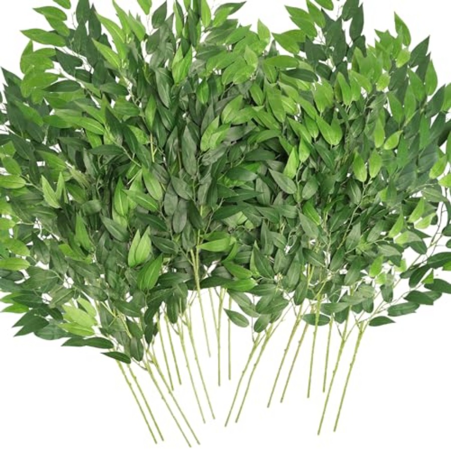 ก้านใบรัสคัสอิตาเลียนเทียม 20  - Ruscus Stem Faux บทวิจารณ์และราคา