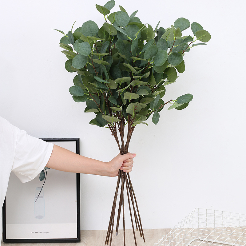 กิ่งใบยูคาลิปตัสประดิษฐ์ 1 ชิ้ - Eucalyptus Preserved บทวิจารณ์และราคา